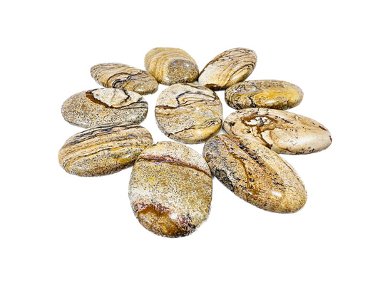Picture Jasper Oval Shape stone