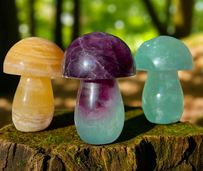 Fluorite Mushroom Shape