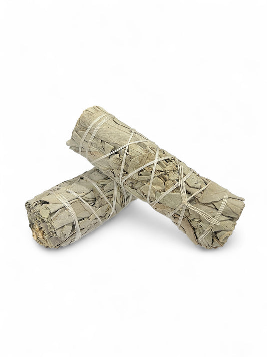 Smudge Sage Bundle Pack of 2