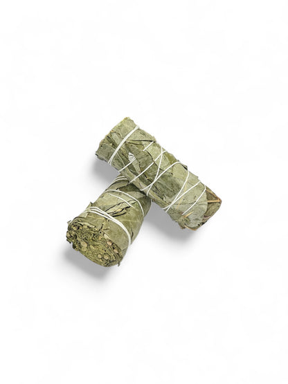 Smudge Kit – Eucalyptus Bundle Pack of 2