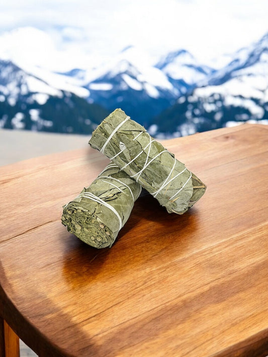 Smudge Kit – Eucalyptus Bundle Pack of 2
