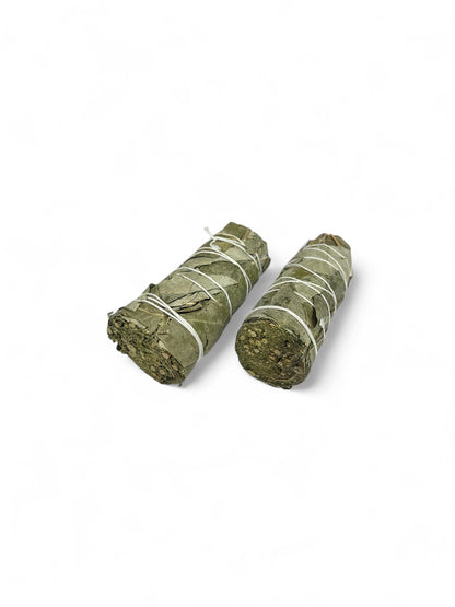 Smudge Kit – Eucalyptus Bundle Pack of 2