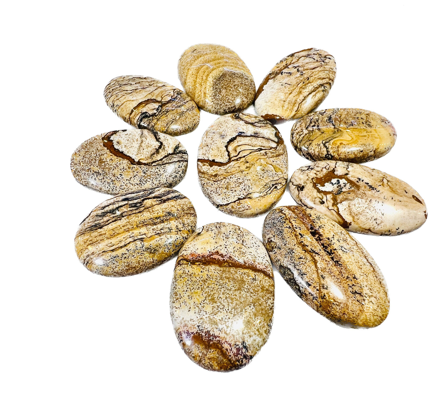 Picture Jasper Oval Shape stone