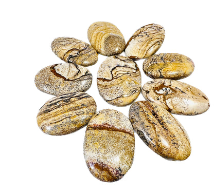 Picture Jasper Oval Shape stone