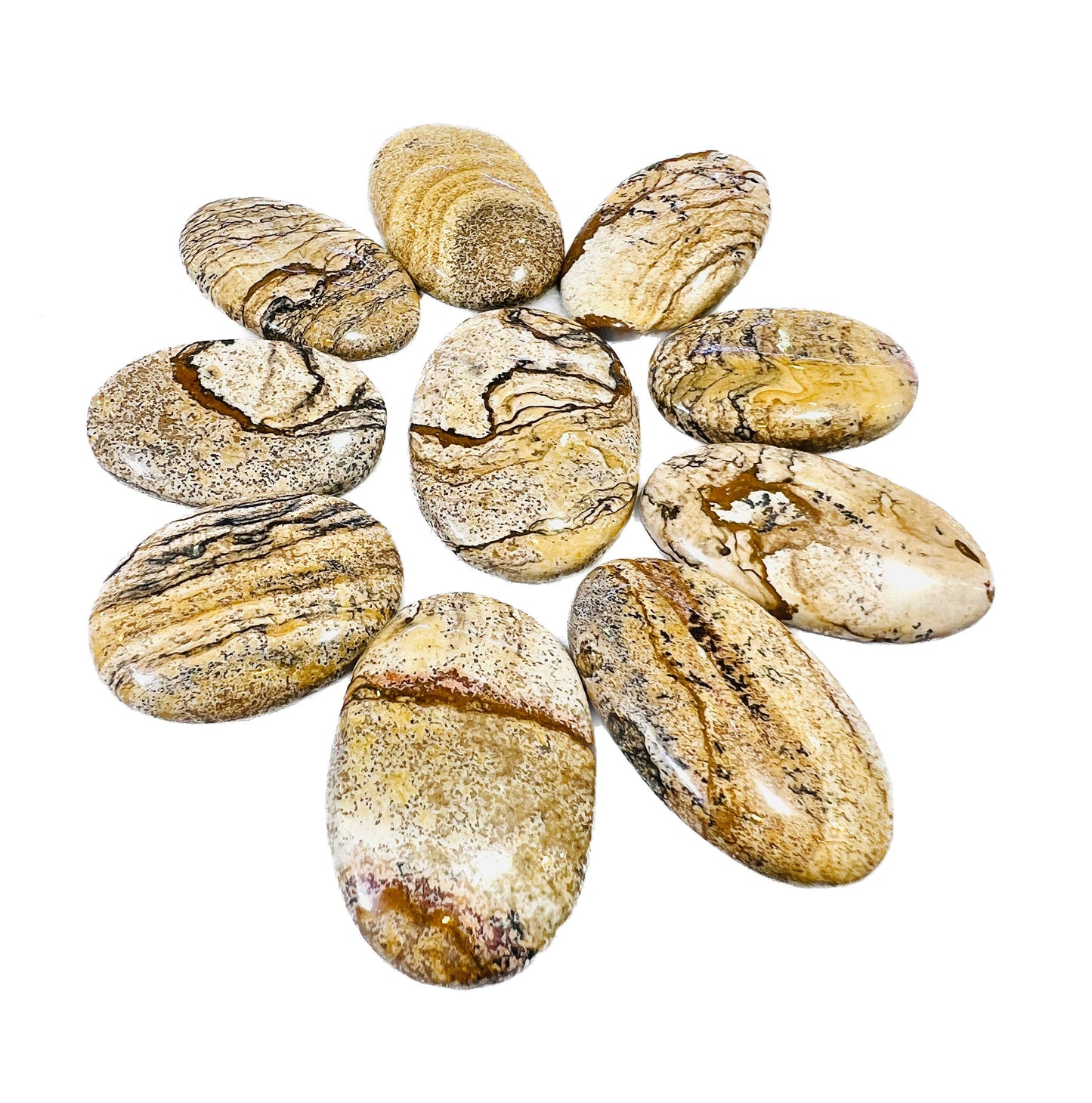 Picture Jasper Oval Shape stone