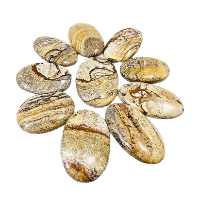 Picture Jasper Oval Shape stone